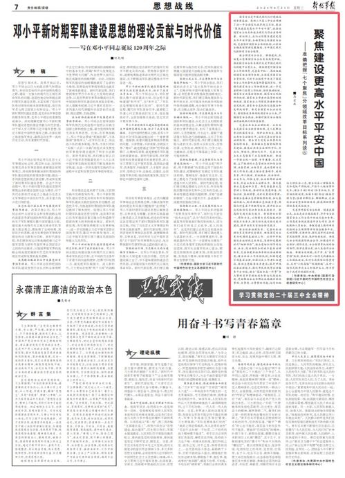 学习贯彻党的二十届三中全会精神 聚焦建设更高水平平安中国